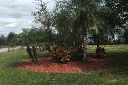 Lawn Service Lakeland FL