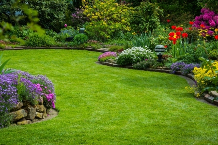 Lawn Service Lakeland FL